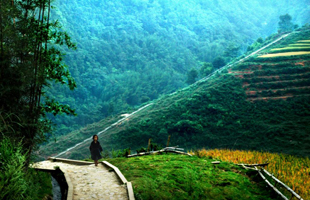 Enchanted Pathways to Sapa